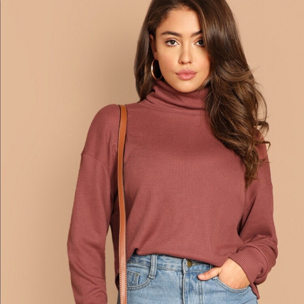 SHEIN Solid Turtleneck Waffle Knit Pullover